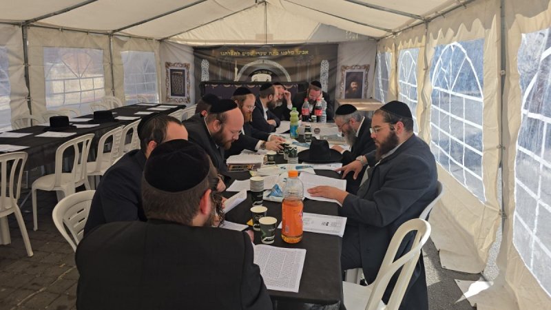 אלחנן קוטלר