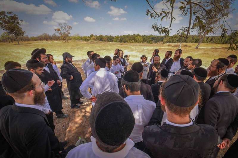 ארי קופרשטוק