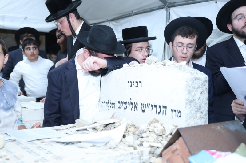 שלומי טריכטר