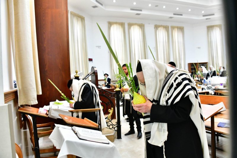 שוקי לרר