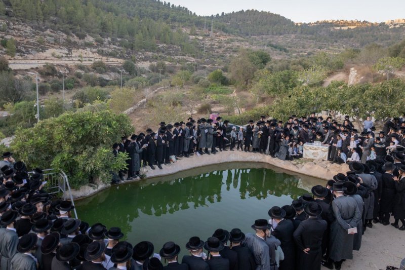 חיים גולדברג - פלאש 90