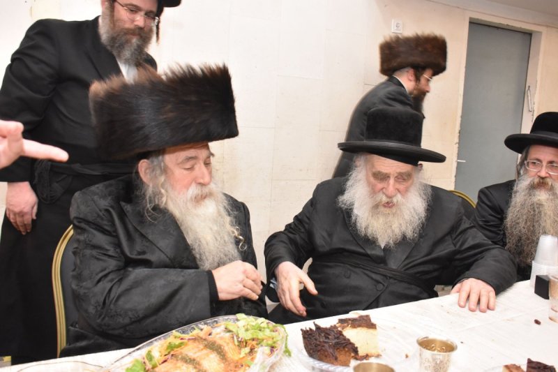 יהודה פרקוביץ