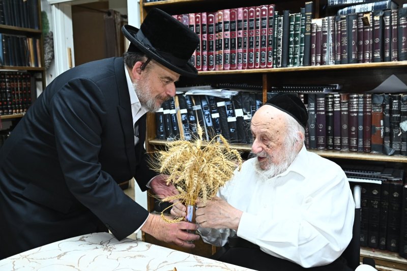 שוקי לרר