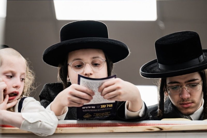 י. שטיין