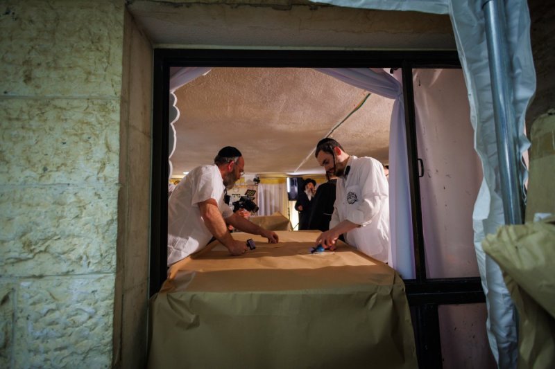 דניאל נפוסי