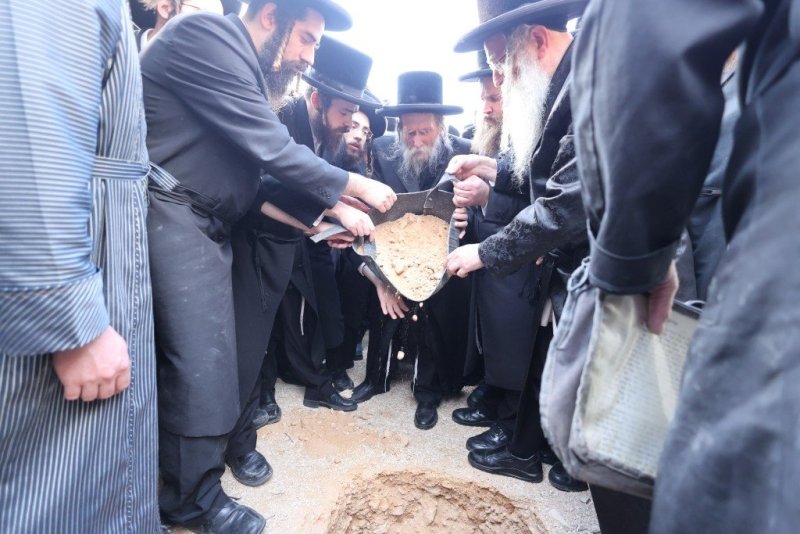 שלומי טריכטר