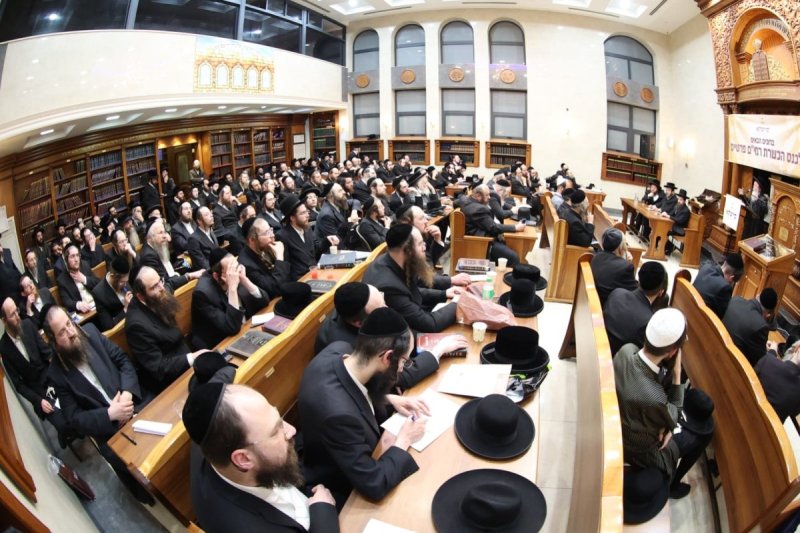 שלומי טריכטר