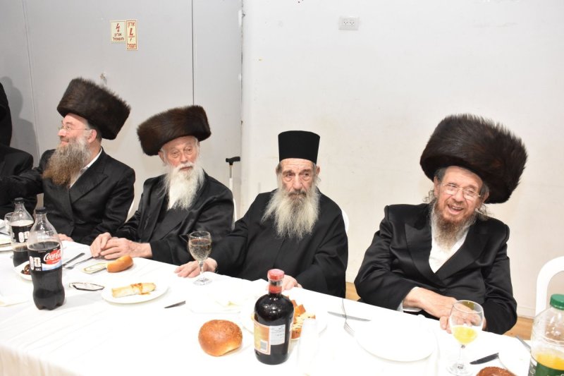 יהודה פרקוביץ