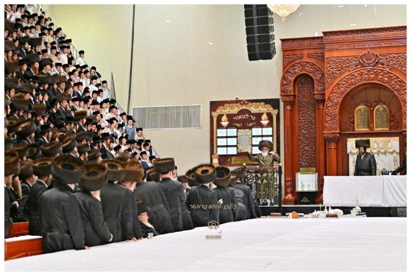 יהושע פרוכטר