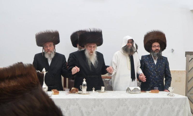 גלריה מכל היום: כך חגגו פורים בחצר טשארנאביל באשדוד