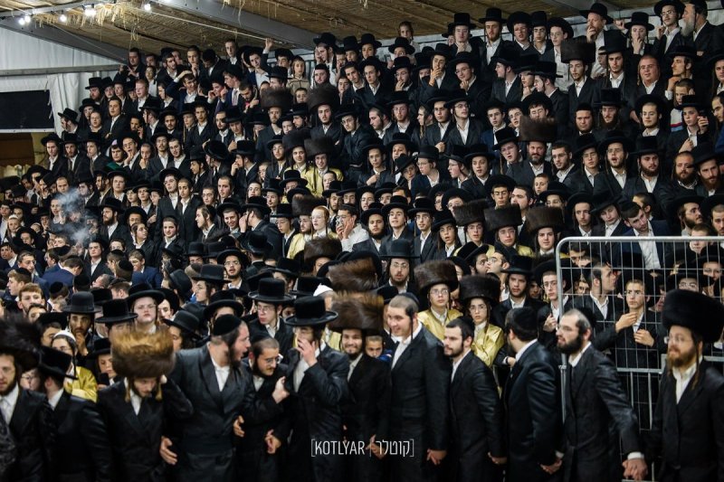 מענדי קוטלר