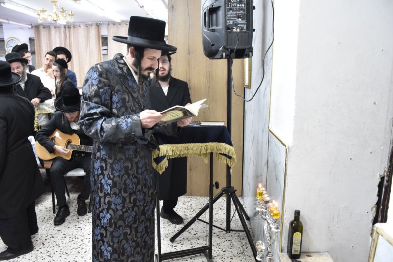 יהודה פרקוביץ