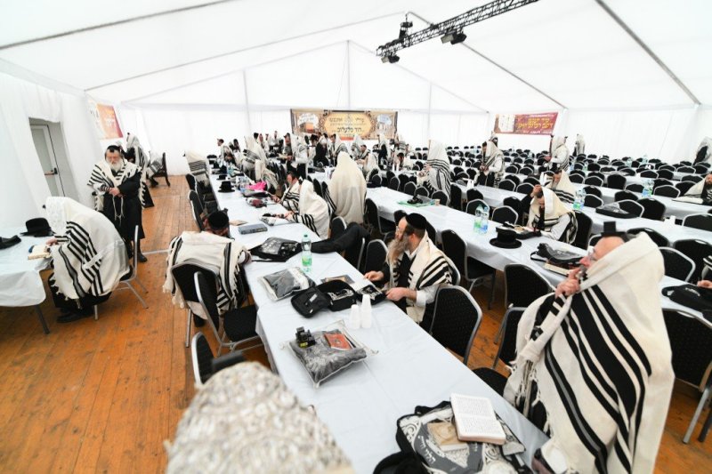 ארי קופרשטוק - פולין