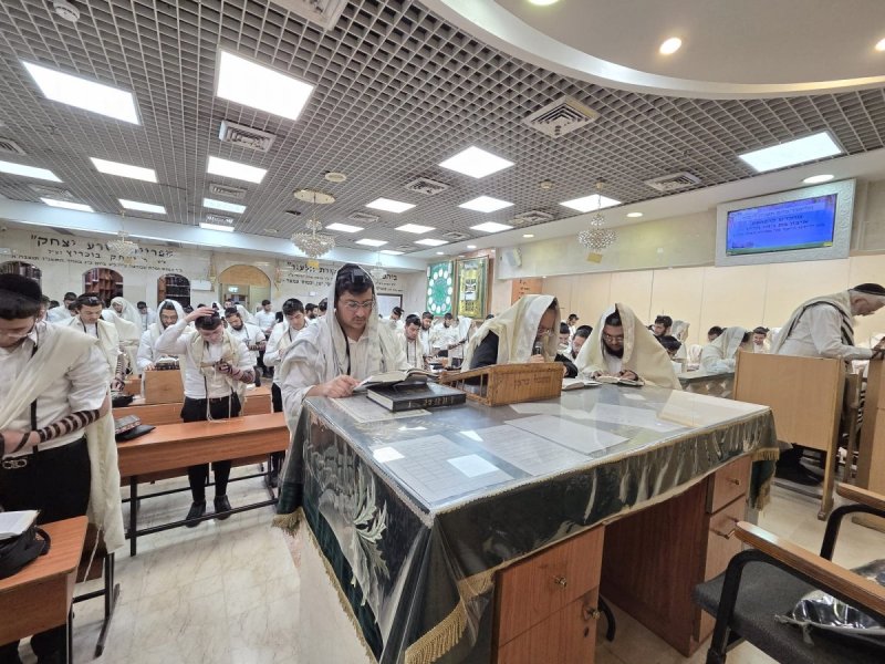 באדיבות המצלם