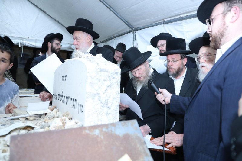 שלומי טריכטר