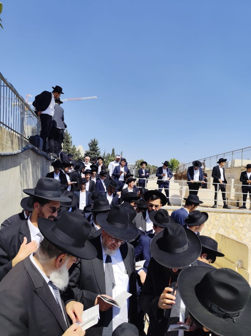 באדיבות המצלם