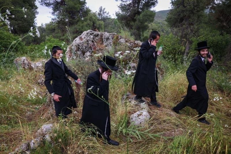 דוד כהן - פלאש 90
