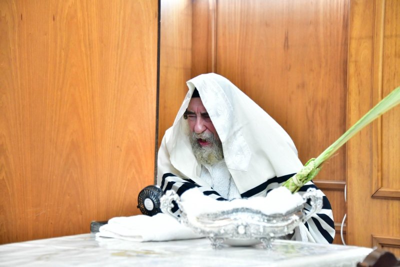 שוקי לרר