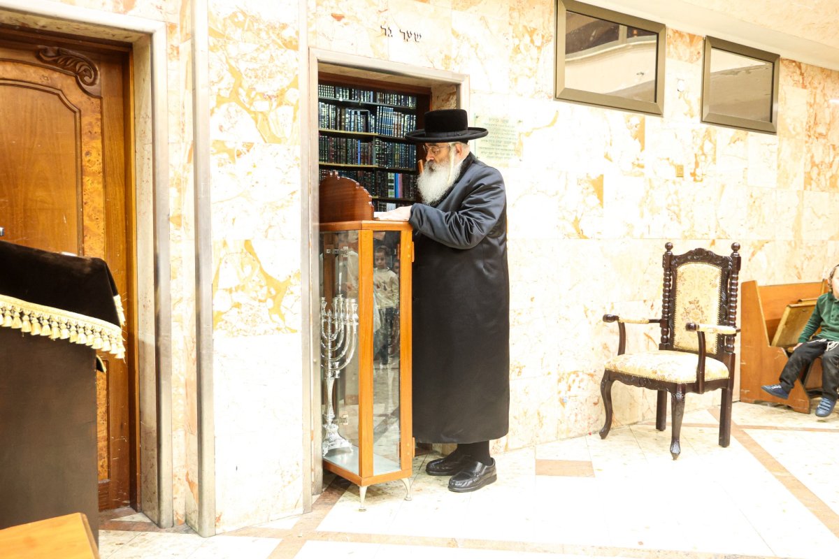 שלומי טריכטר