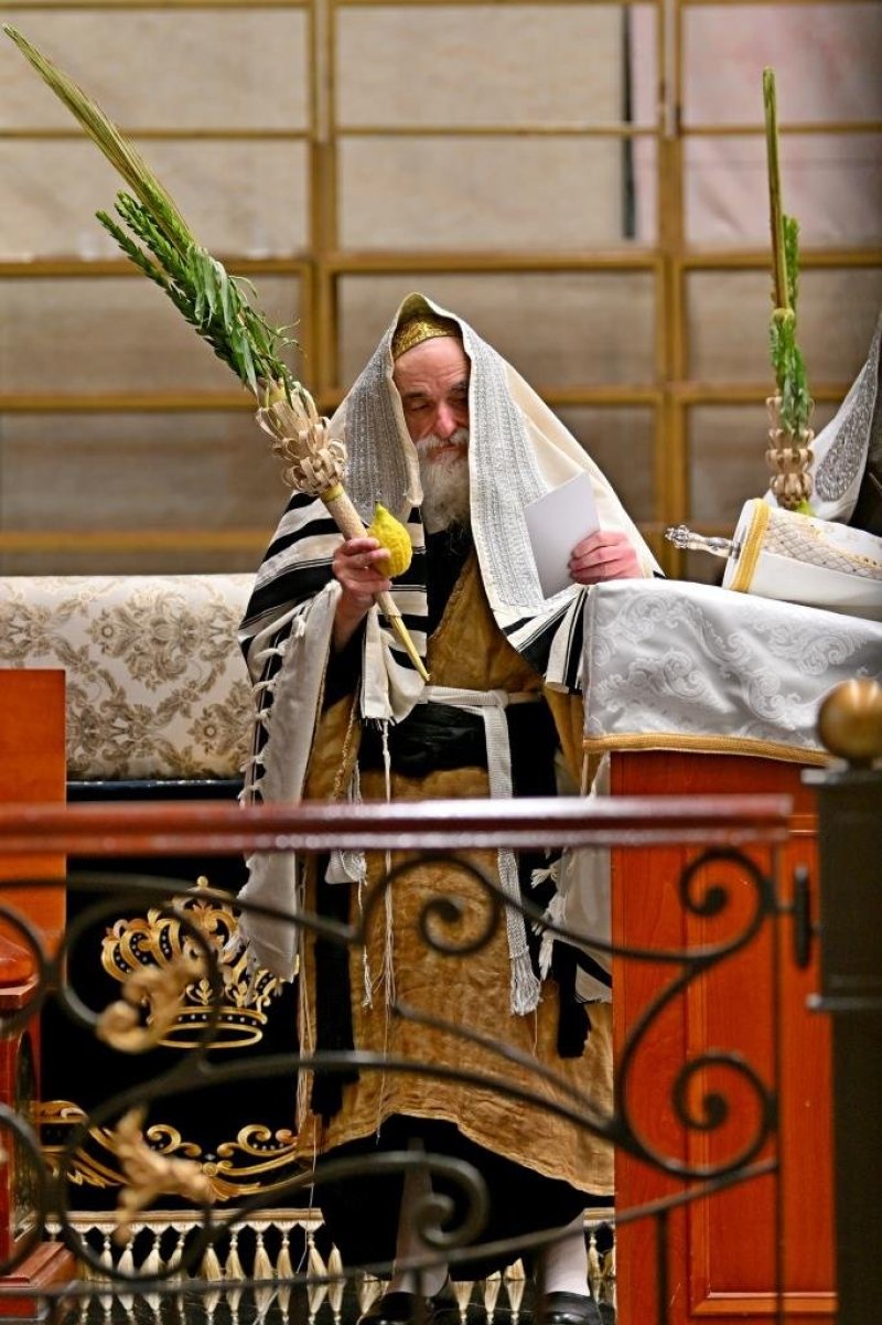 יהושע פרוכטר