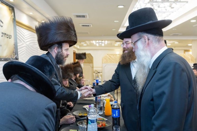 אלעזר פיינשטיין