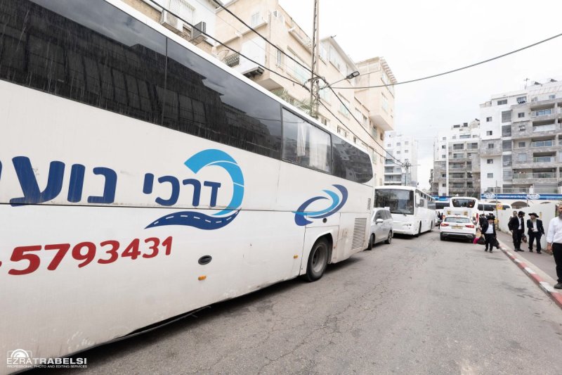 עזרא טרבלסי