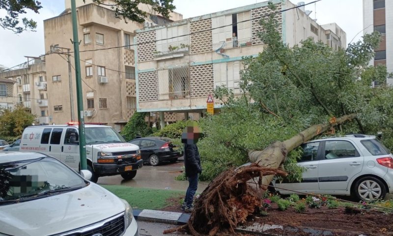 הסערה מכה בכל הכוח: עצים קורסים, מפלים ברחובות חיפה והצפות ענק