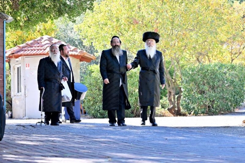 יהושע פרוכטר