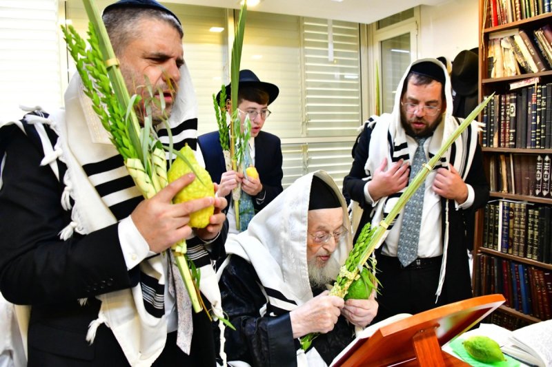 שוקי לרר