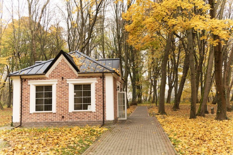 אנדריי בויץ