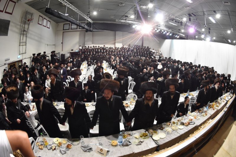 יהודה פרקוביץ