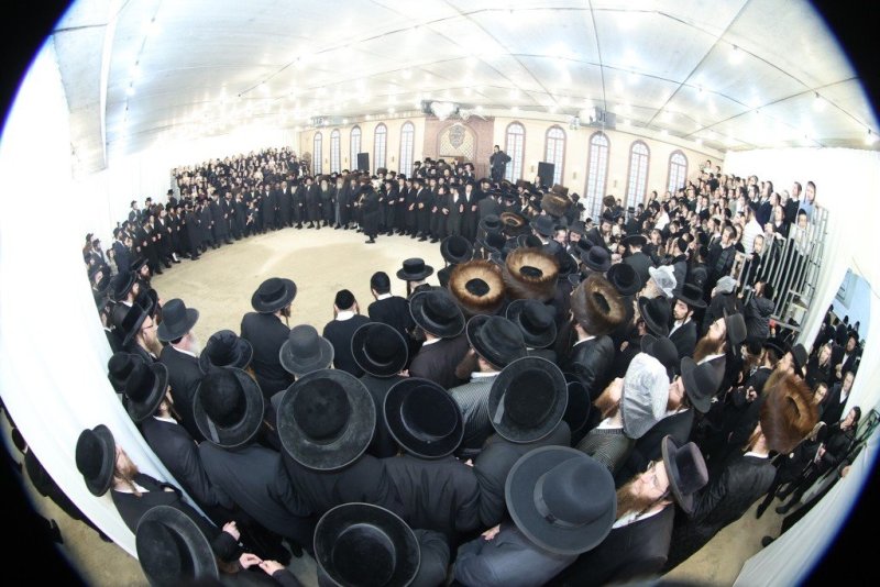 שלומי טריכטר