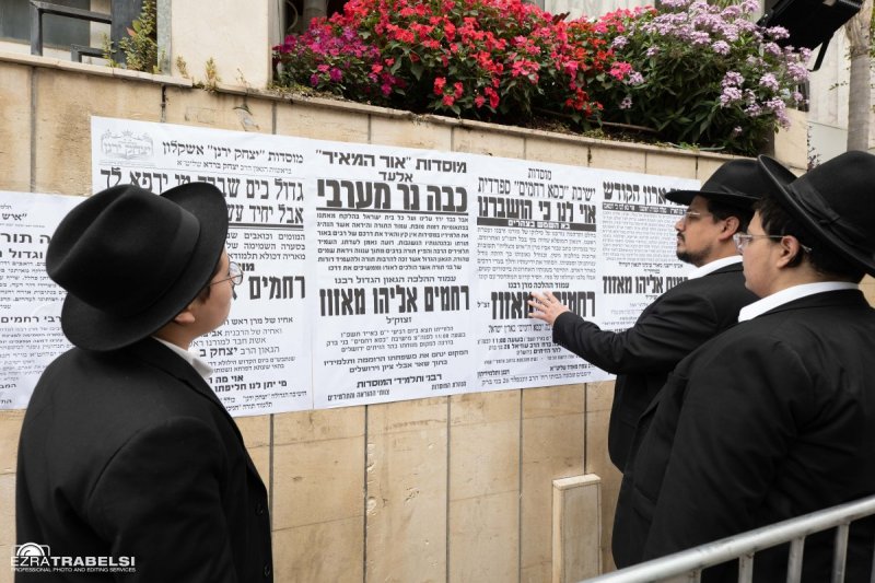עזרא טרבלסי