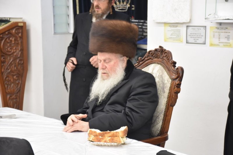 יהודה פרקוביץ