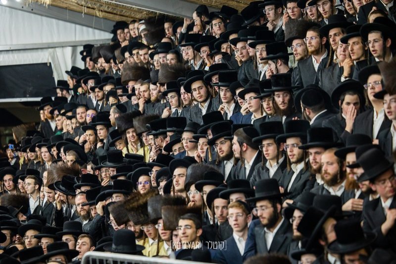 מענדי קוטלר