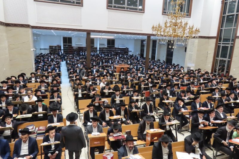 שימי קליין