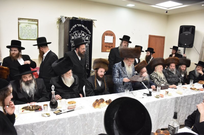 יהודה פרקוביץ