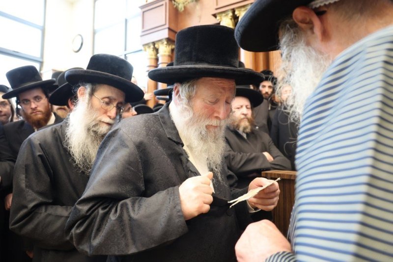 שלומי טריכטר