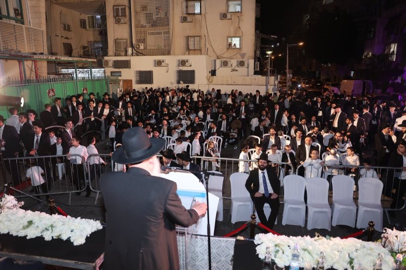נועם אליהו