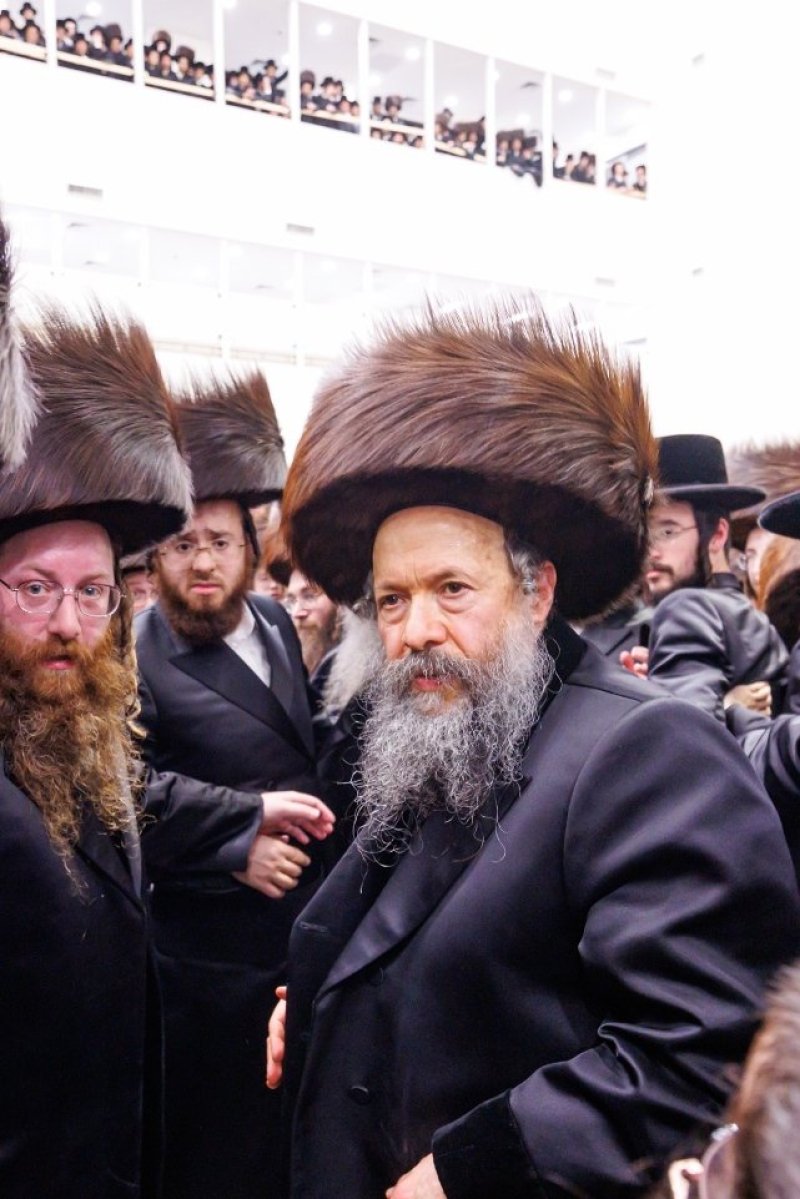 האחים לאנטשעווסקי ואושי וויינגארטן