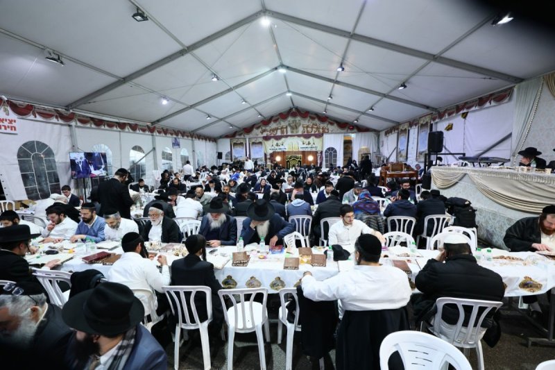 ים לביא