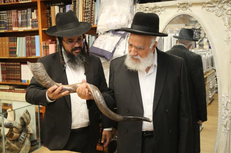 דוד קשת