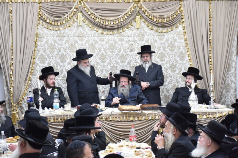 יהודה פרקוביץ