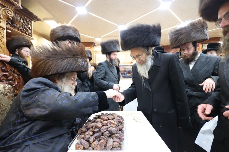 שלומי טריכטר