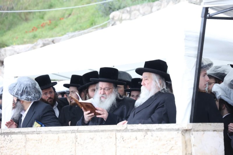 שלומי טריכטר