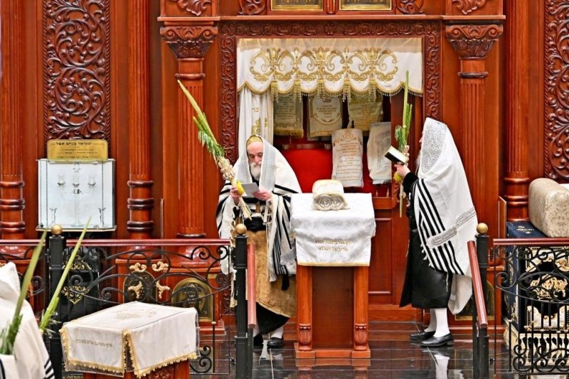 יהושע פרוכטר