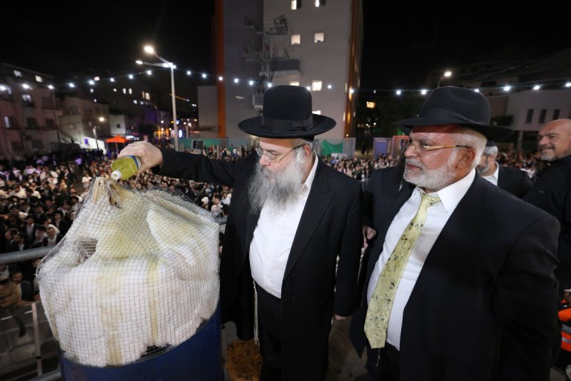 יעקב כהן