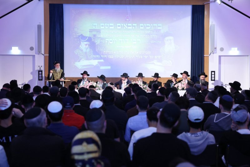 יעקב כהן
