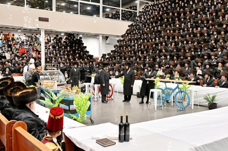 יהושע פרוכטר