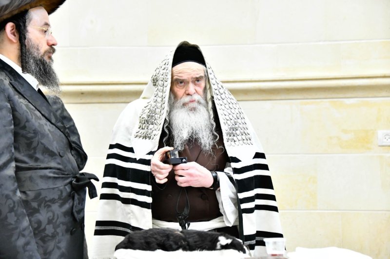 שוקי לרר